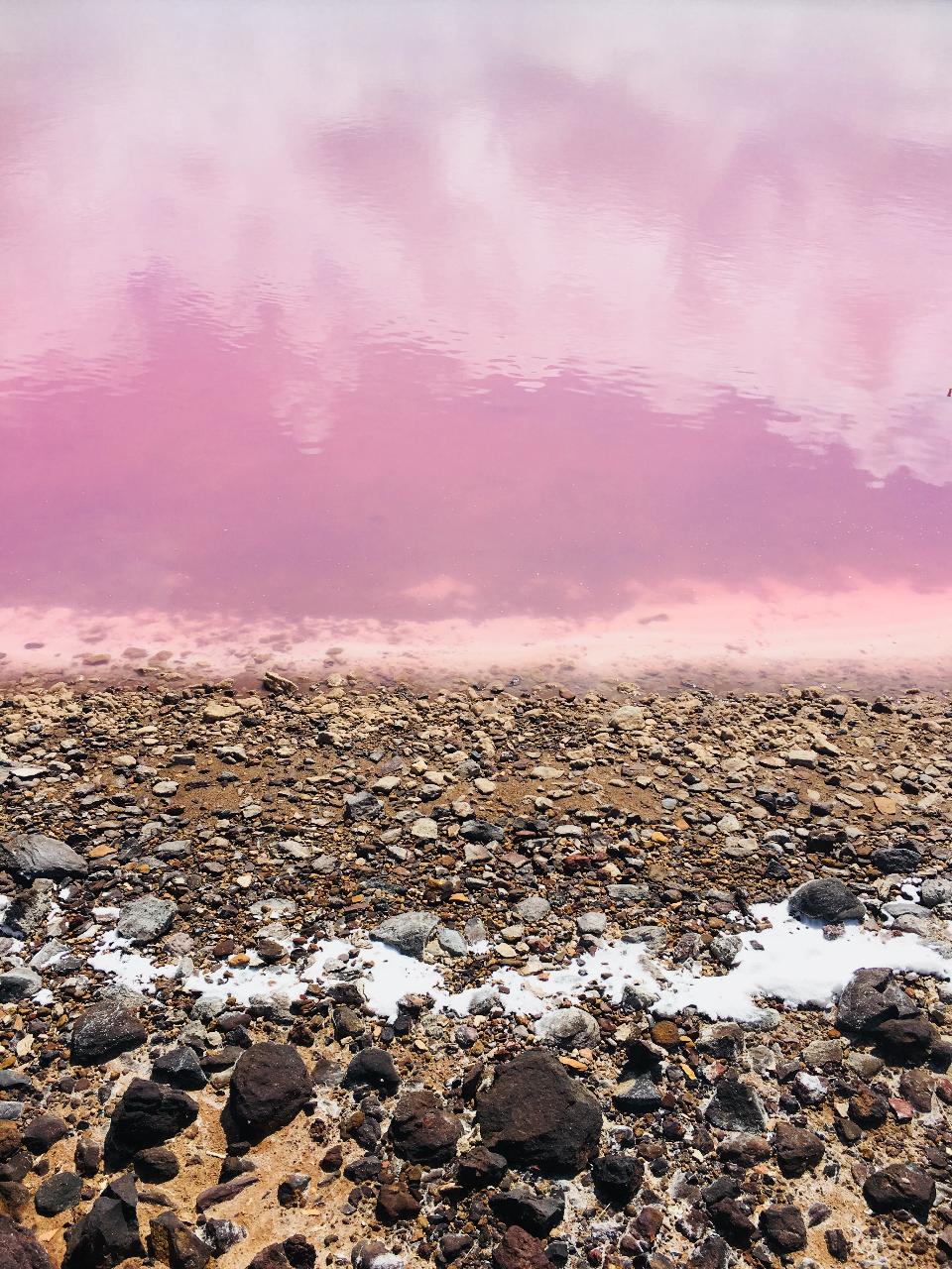 Pink Lake Buggy Tour