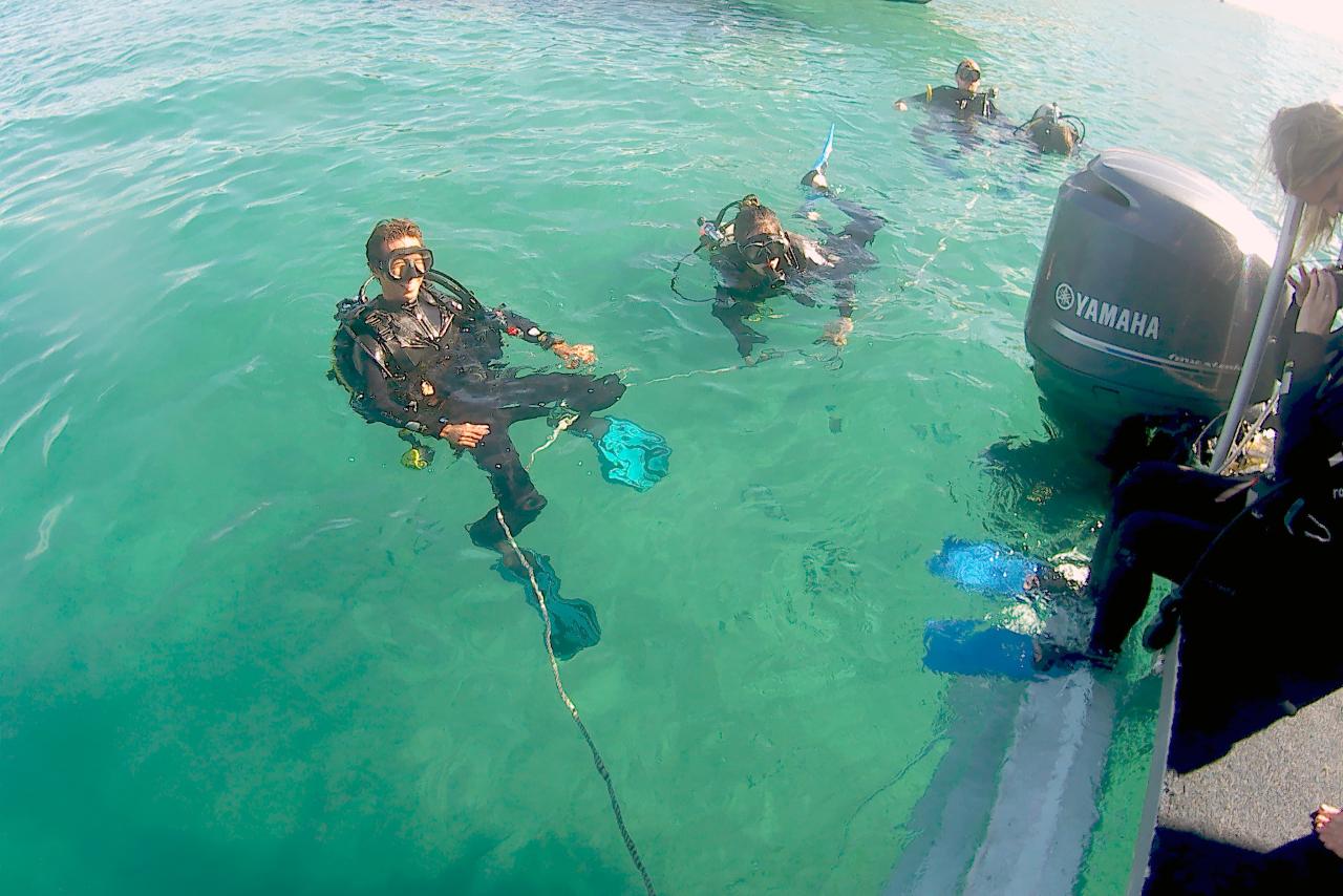 Introductory Scuba Dive & Snorkel