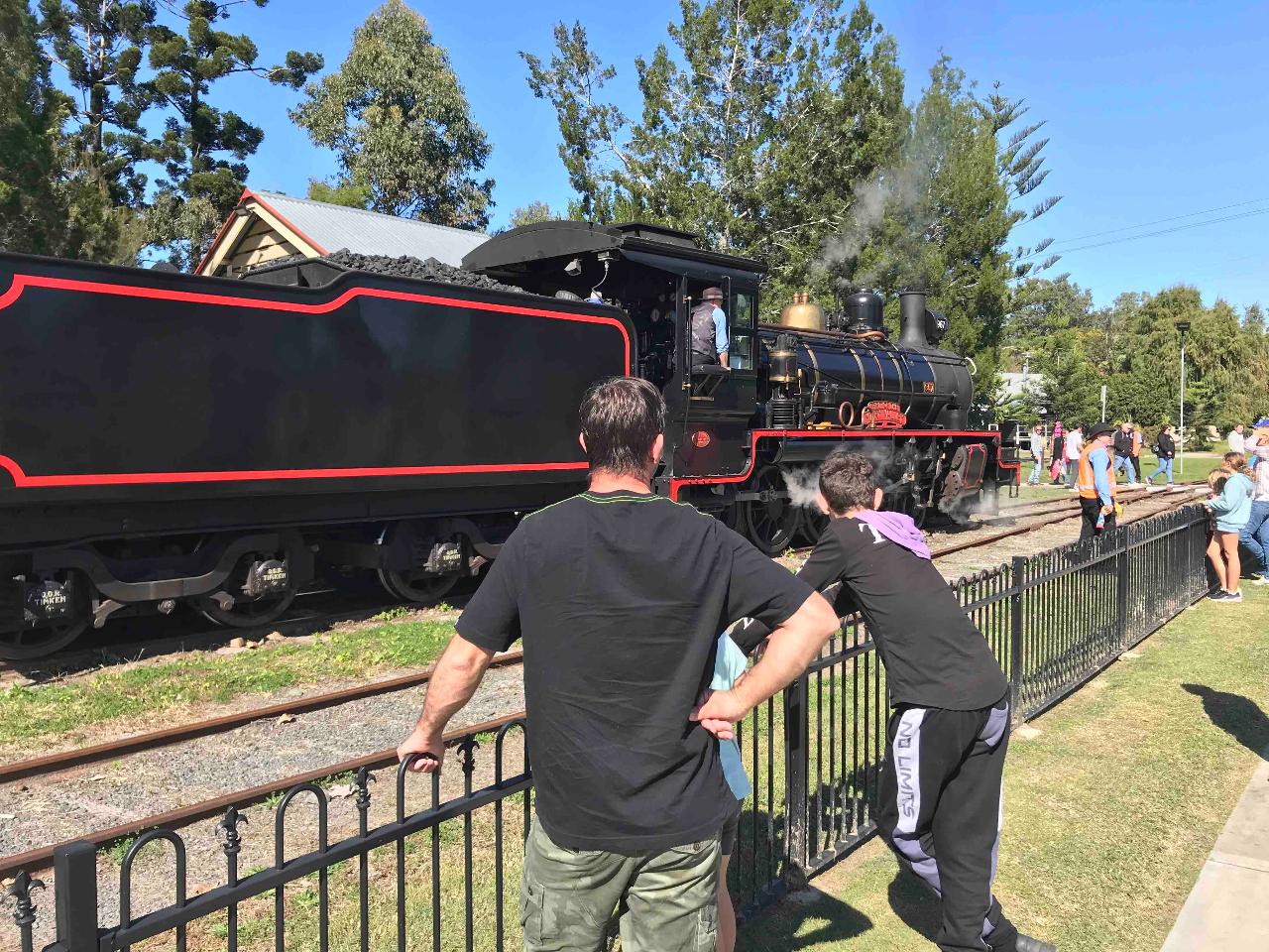 Mary Valley Tour With Kenilworth Lunch, Wine Tasting And Mary Valley Rattler - Luxury Private Tour