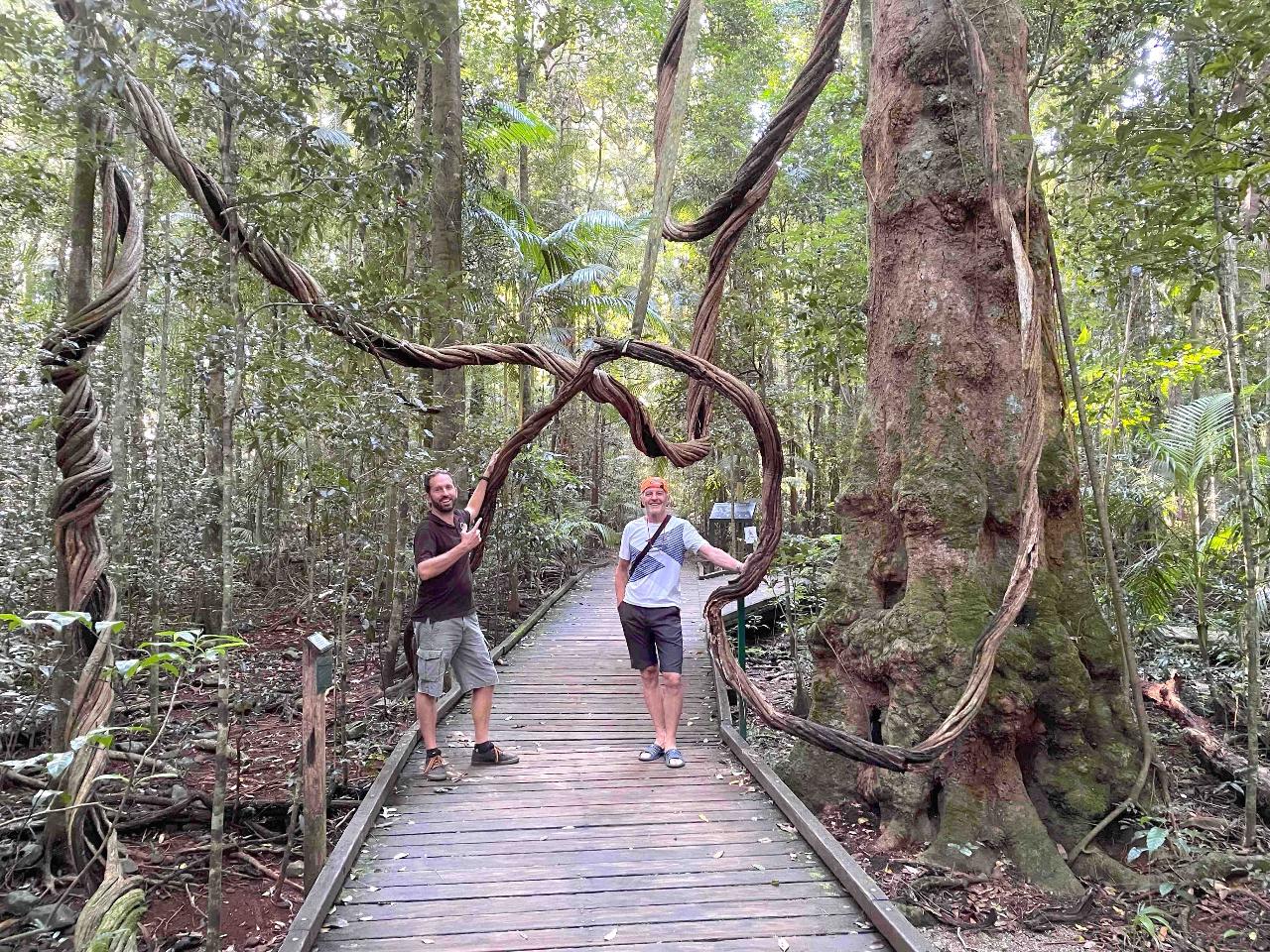 Maleny And Montville Tour With Artisan Village And Wine Tasting - Luxury Private Tour