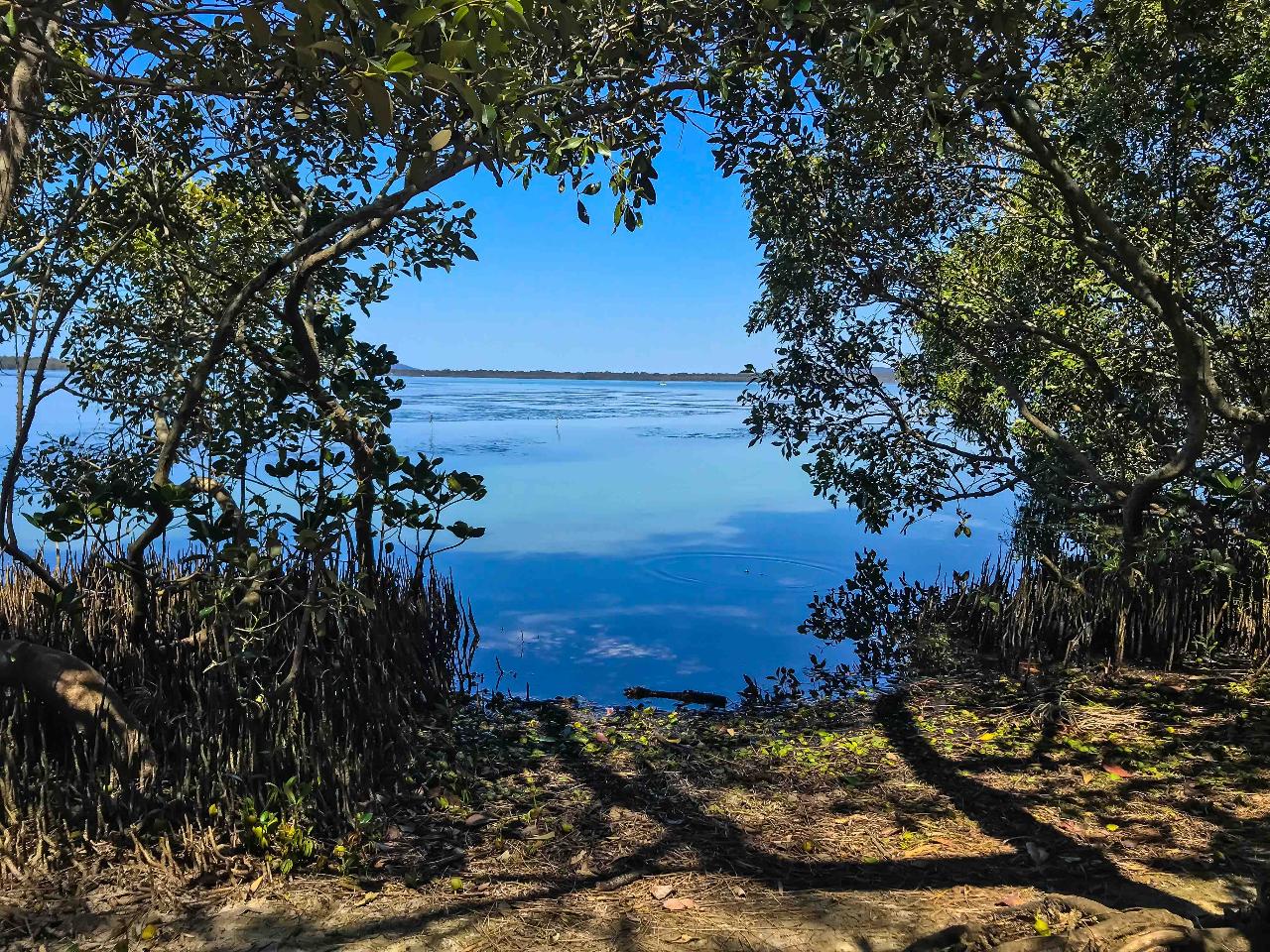 Secrets Of Noosa Tour With Oceanview Lunch, Nature And Noosa River Ferry - Luxury Private Tour