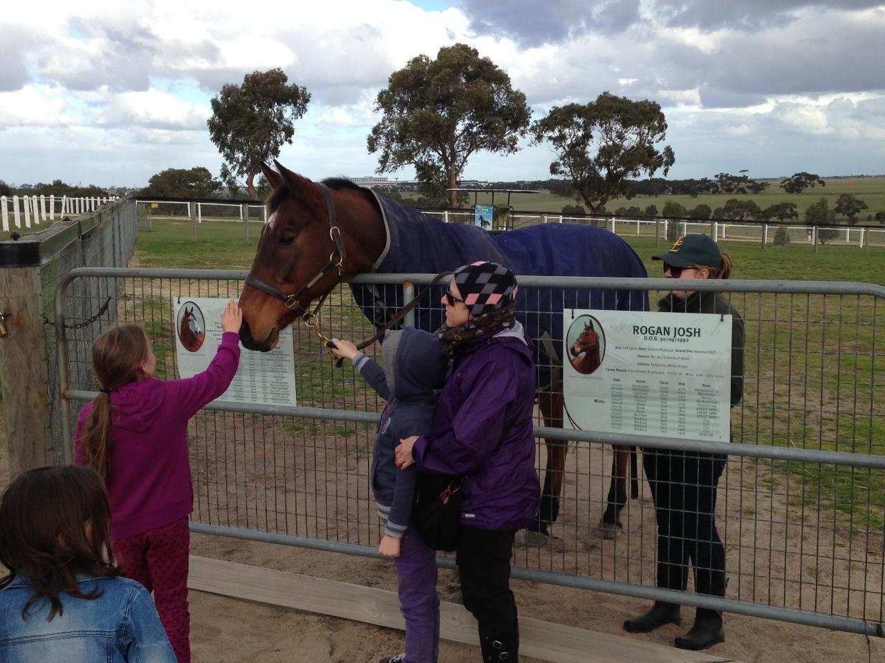 Horses, Wine & Beer Tour