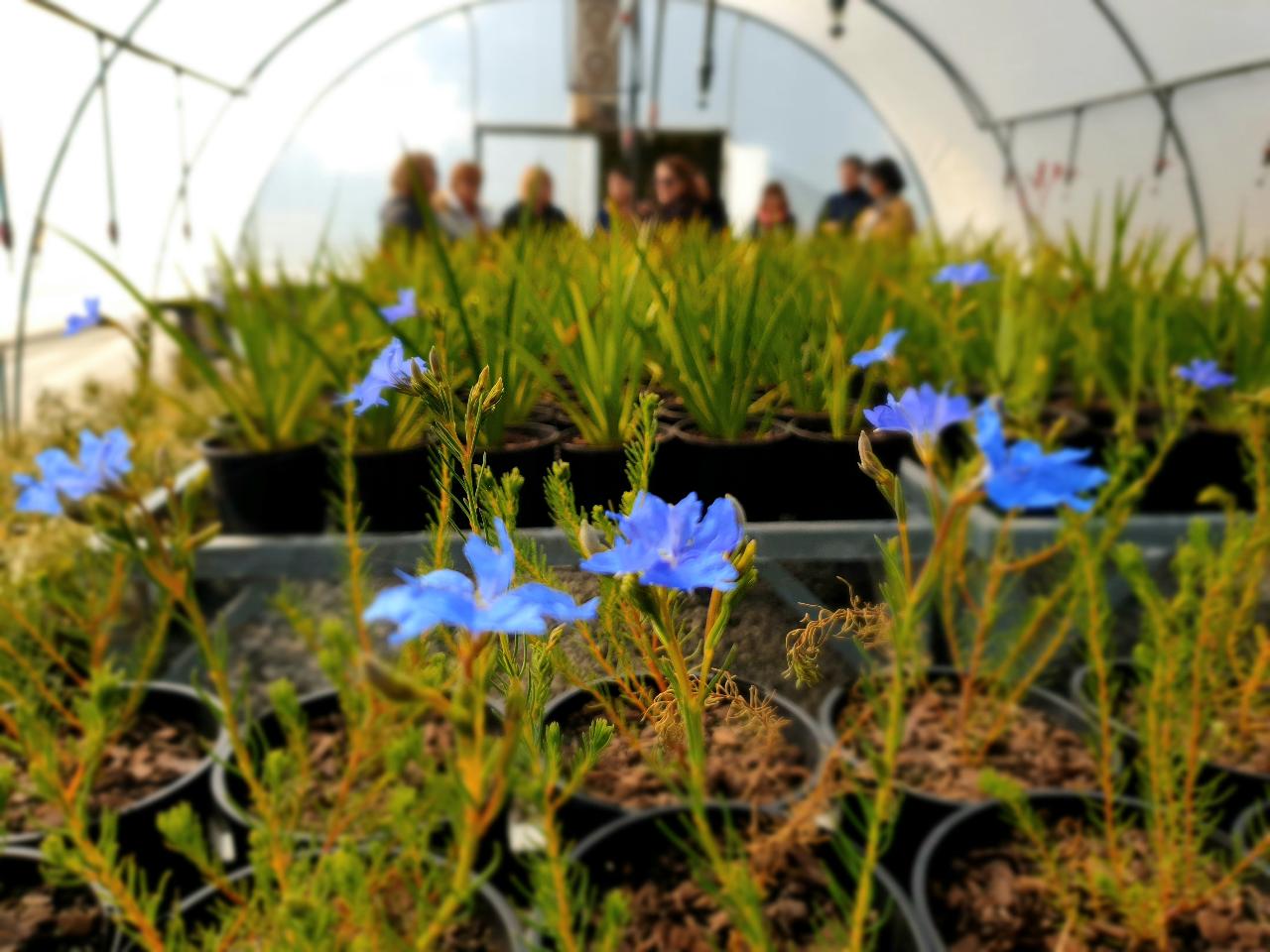 Jurlique Farm Tour & Hills Gourmet Picnic