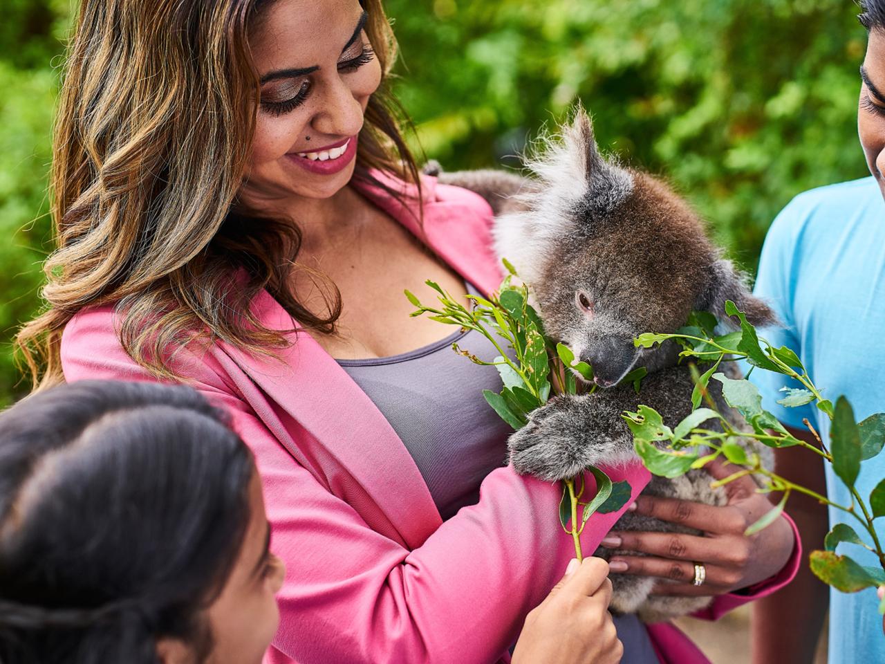 Private Coach - Kangaroo Island Wildlife Discovery 24 Seater