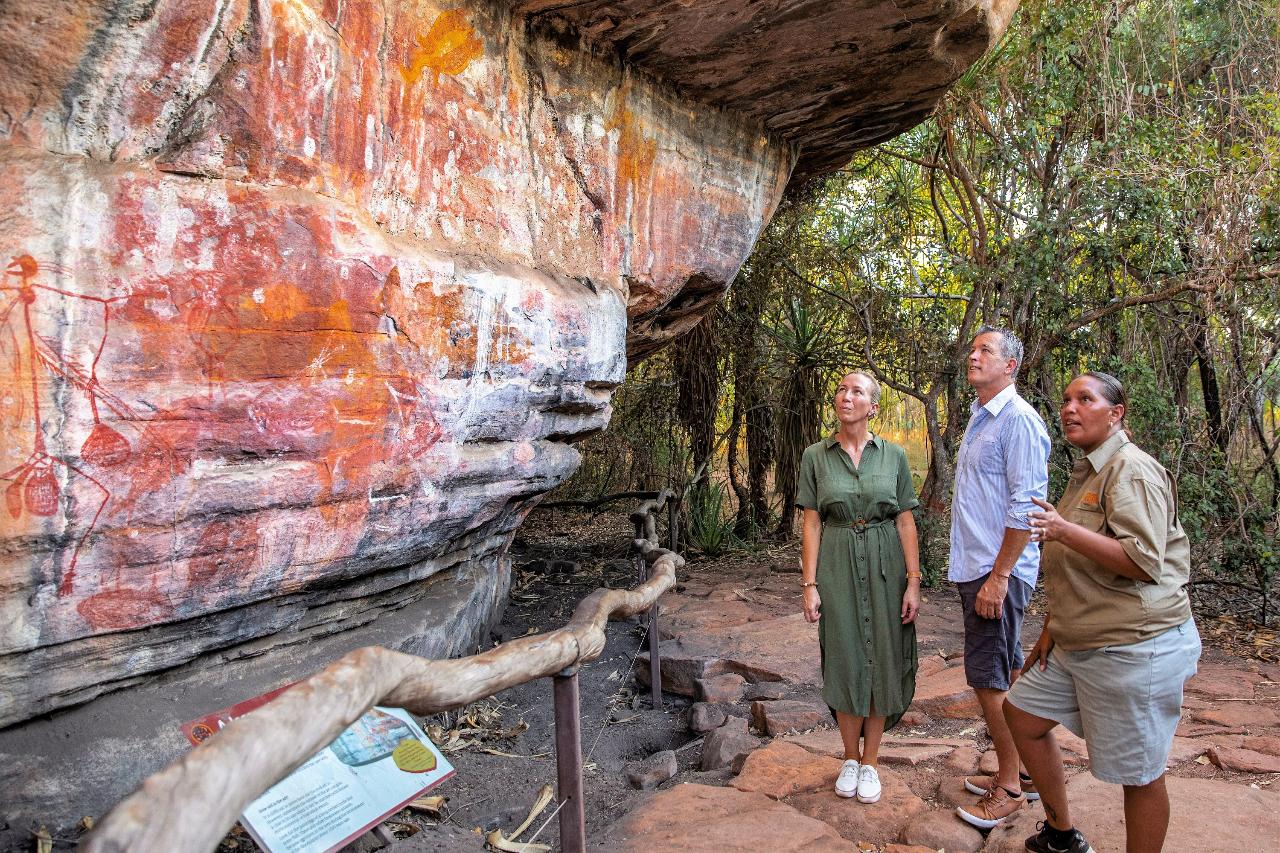 Wildlife Tours Australia: Kakadu Wildlife Rock Art Tour + Wetlands