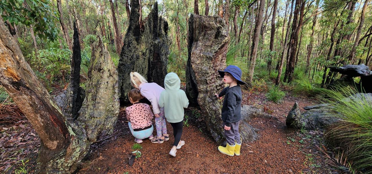 Kids Hiking Adventure