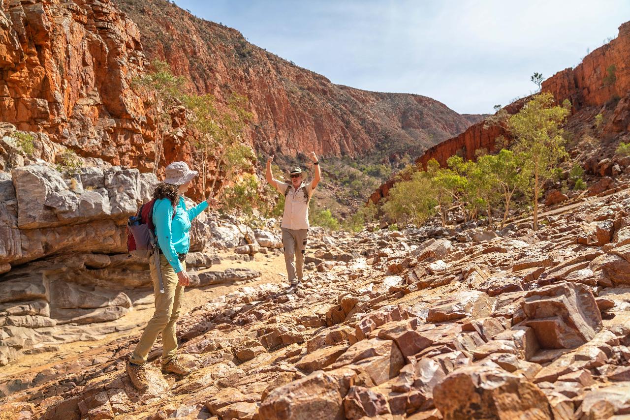 Walk & Waterhole - Ormiston Gorge - Private Tour - Full Day