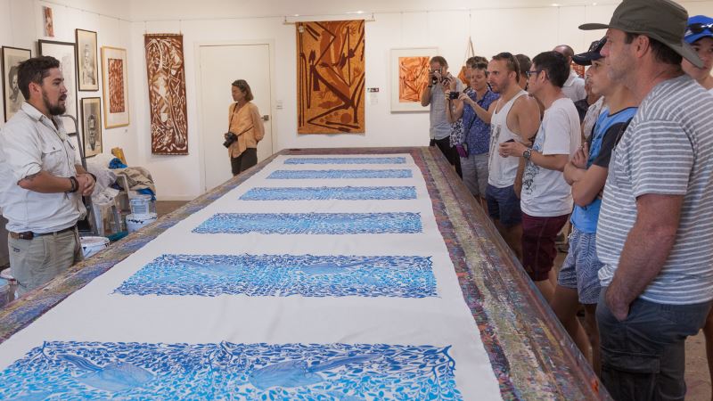 Mikinj Valley (Red Lily) Arnhem Land Sightseeing Day Tour (Ex Darwin)