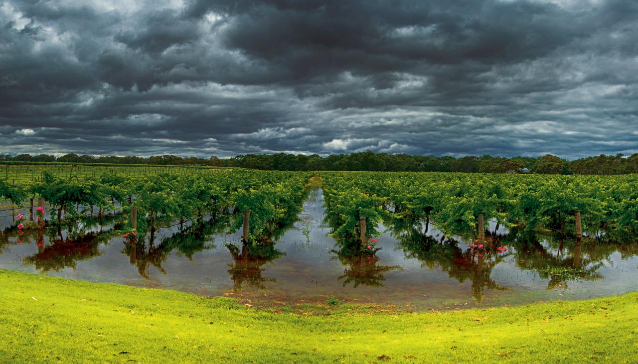 Langhorne Creek Crossing
