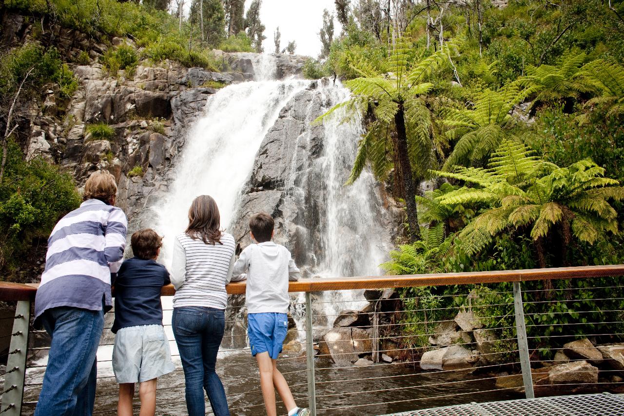 Autopia Tours: Lake Mountain Snow And Waterfalls Tour