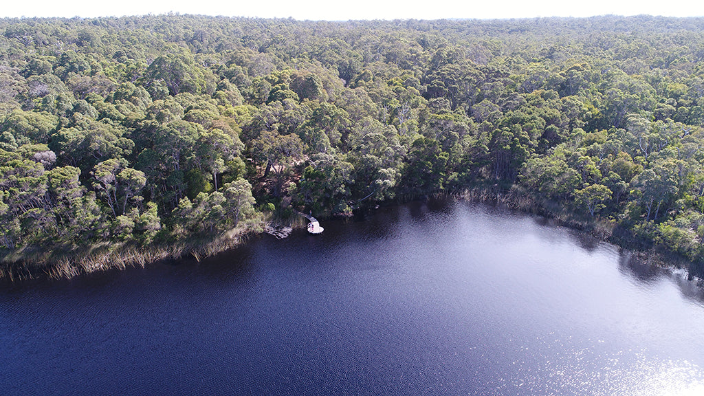 Beach & Forest Eco Adventure