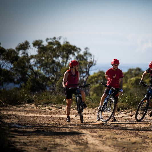 E- Bike (Electric) Guided Tour - Blue Labyrinth Glenbrook Precinct