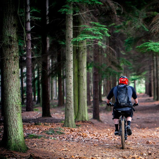 Mountain Biking