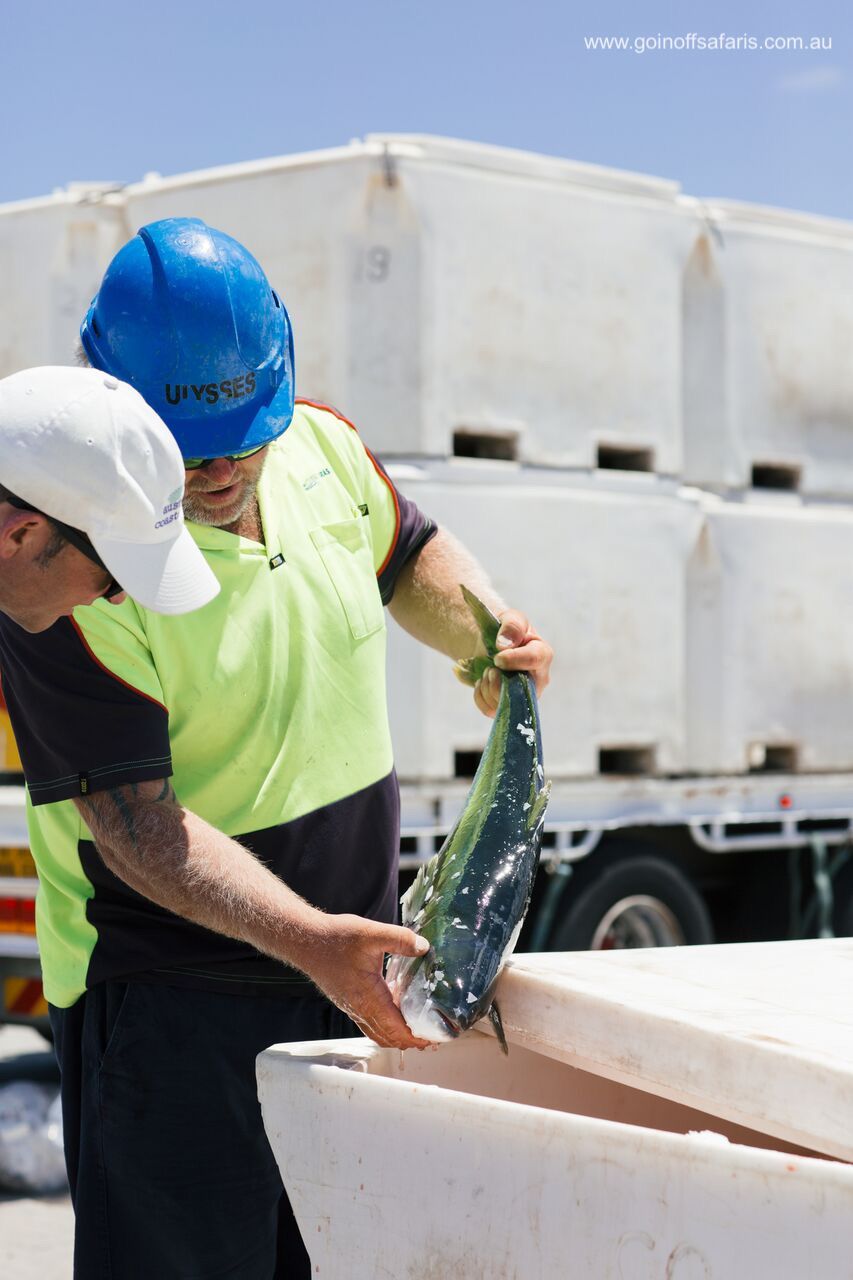 Port Lincoln & Coffin Bay Highlights - 2 Days & 1 Night