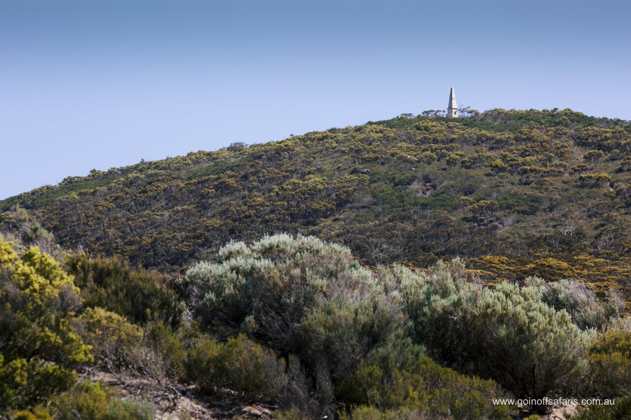 Port Lincoln & Coffin Bay Highlights - 2 Days & 1 Night