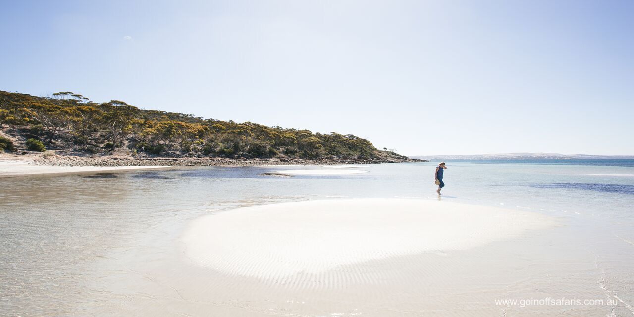 Port Lincoln & Coffin Bay Highlights - 2 Days & 1 Night