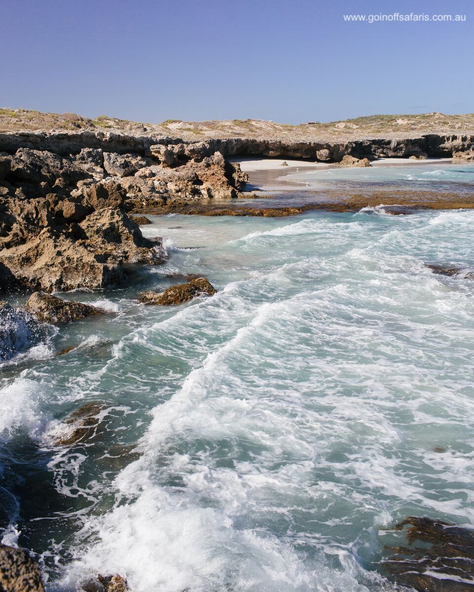 Port Lincoln & Coffin Bay Highlights - 2 Days & 1 Night