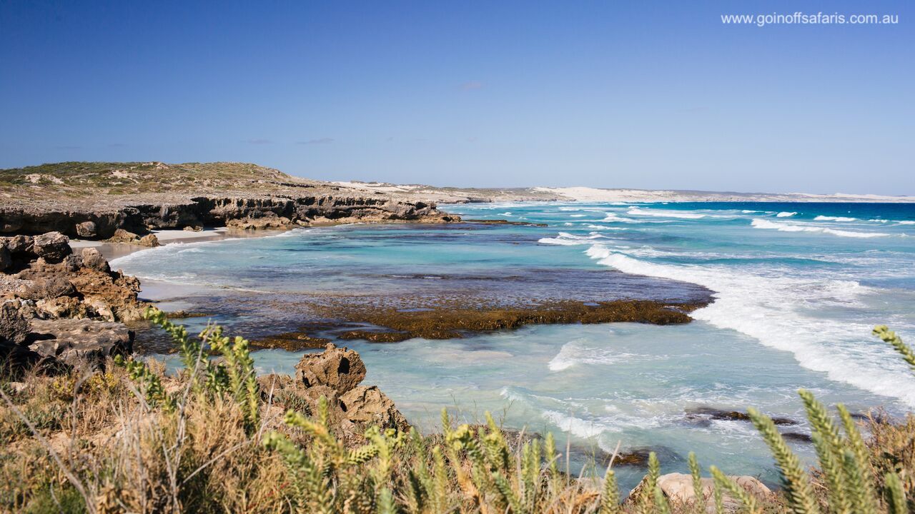 Port Lincoln & Coffin Bay Highlights - 2 Days & 1 Night