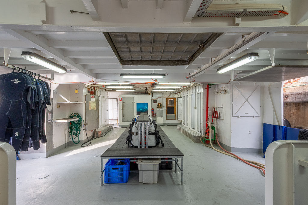 Great White Shark Expedition - 5 Nights