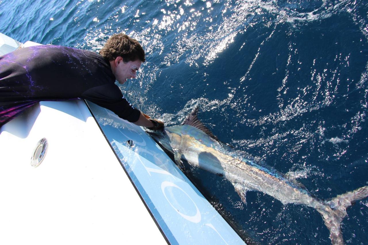 Full Day Private Charter