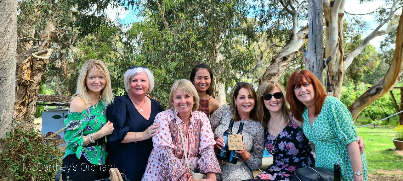 Gin-You-Wine Tour (Mclaren Vale)