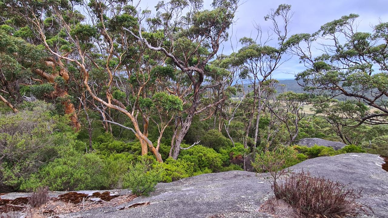 Walpole Wilderness Gourmet Adventure