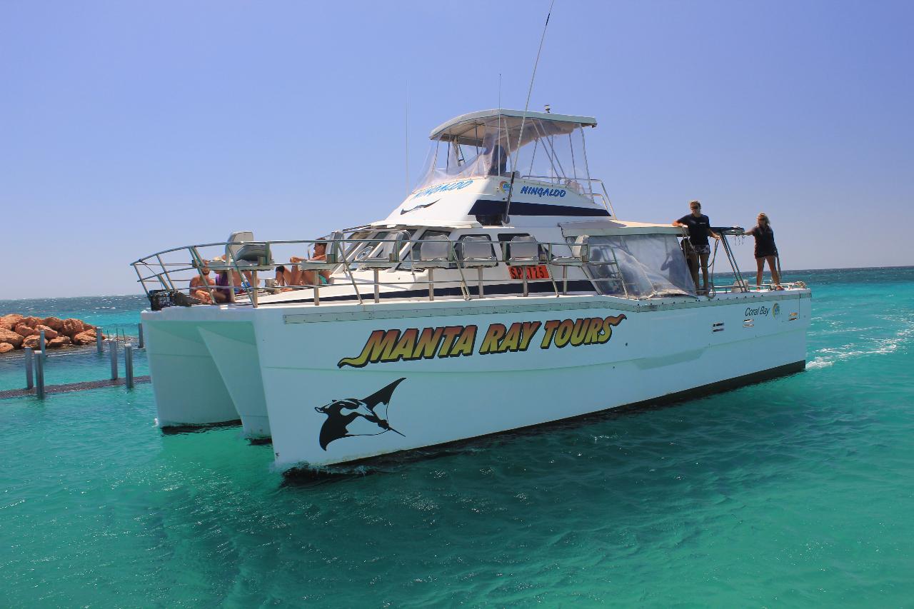Whale Watching Tour