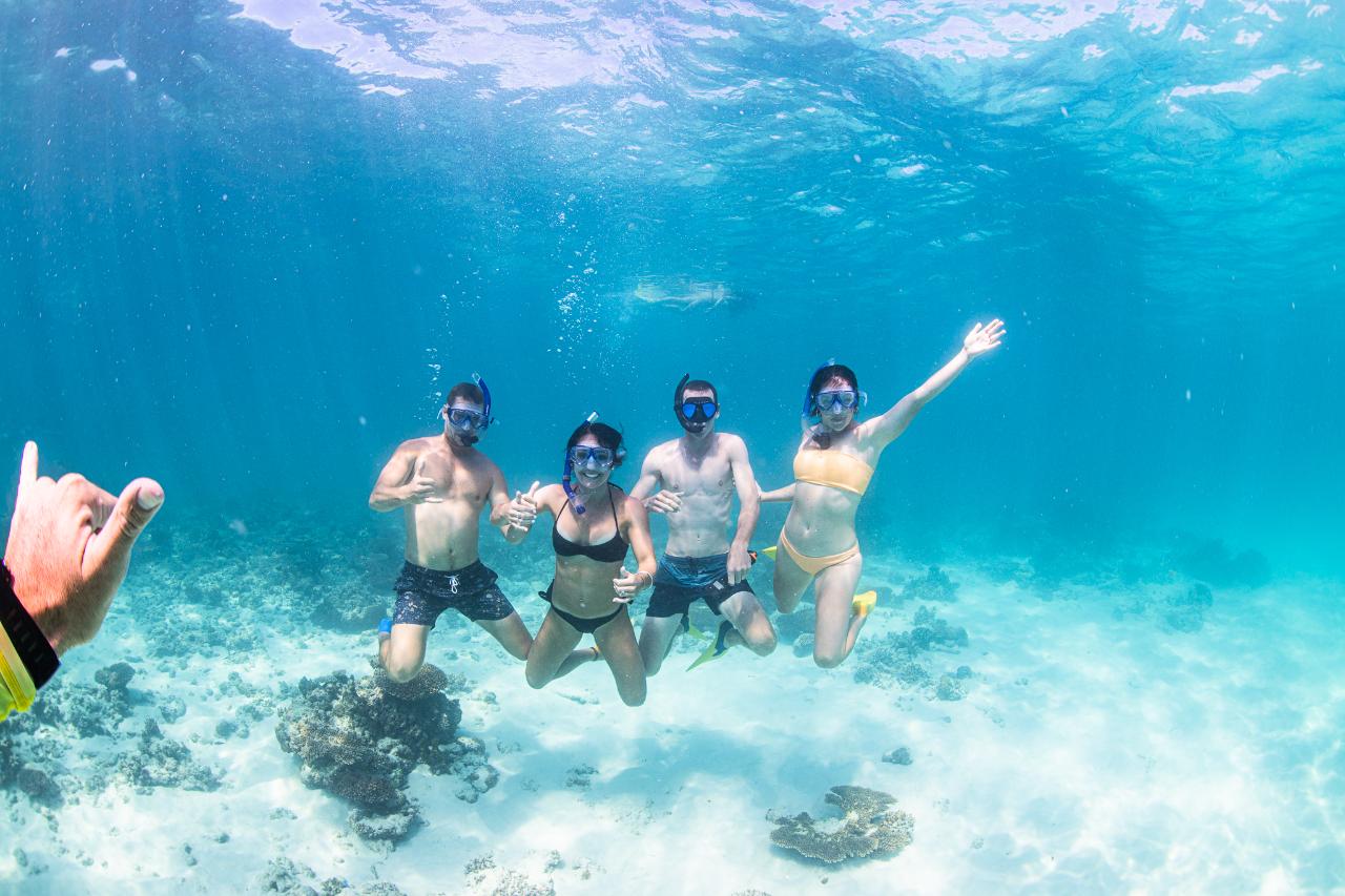 Whale Shark Adventure Swim Exmouth