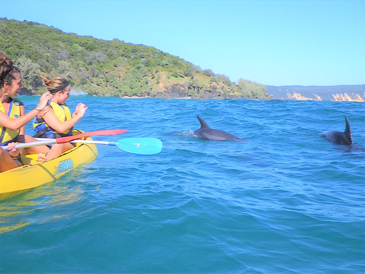 Noosa Dolphin View Sea Kayak & Beach 4X4 Adventure - Day Tour