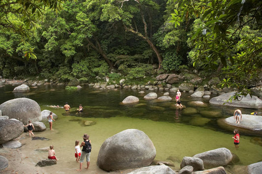 Mossman Gorge (Ex Port Douglas) Shuttle