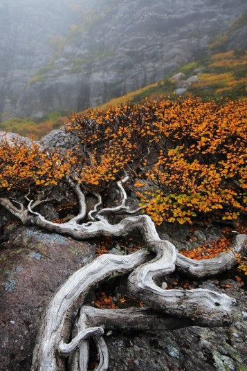 Big Day Out From Hobart To Cradle Mountain