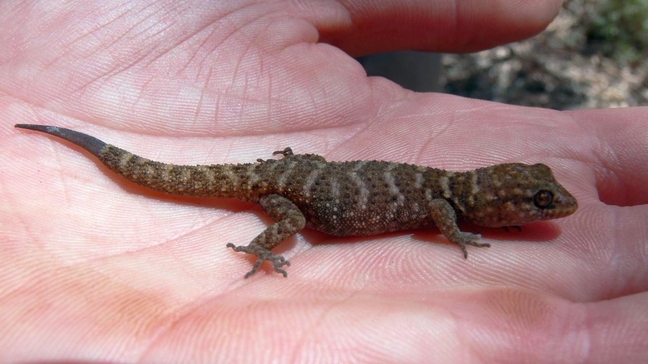 5-Day Coober Pedy To Adelaide Small Group 4Wd Eco Safari