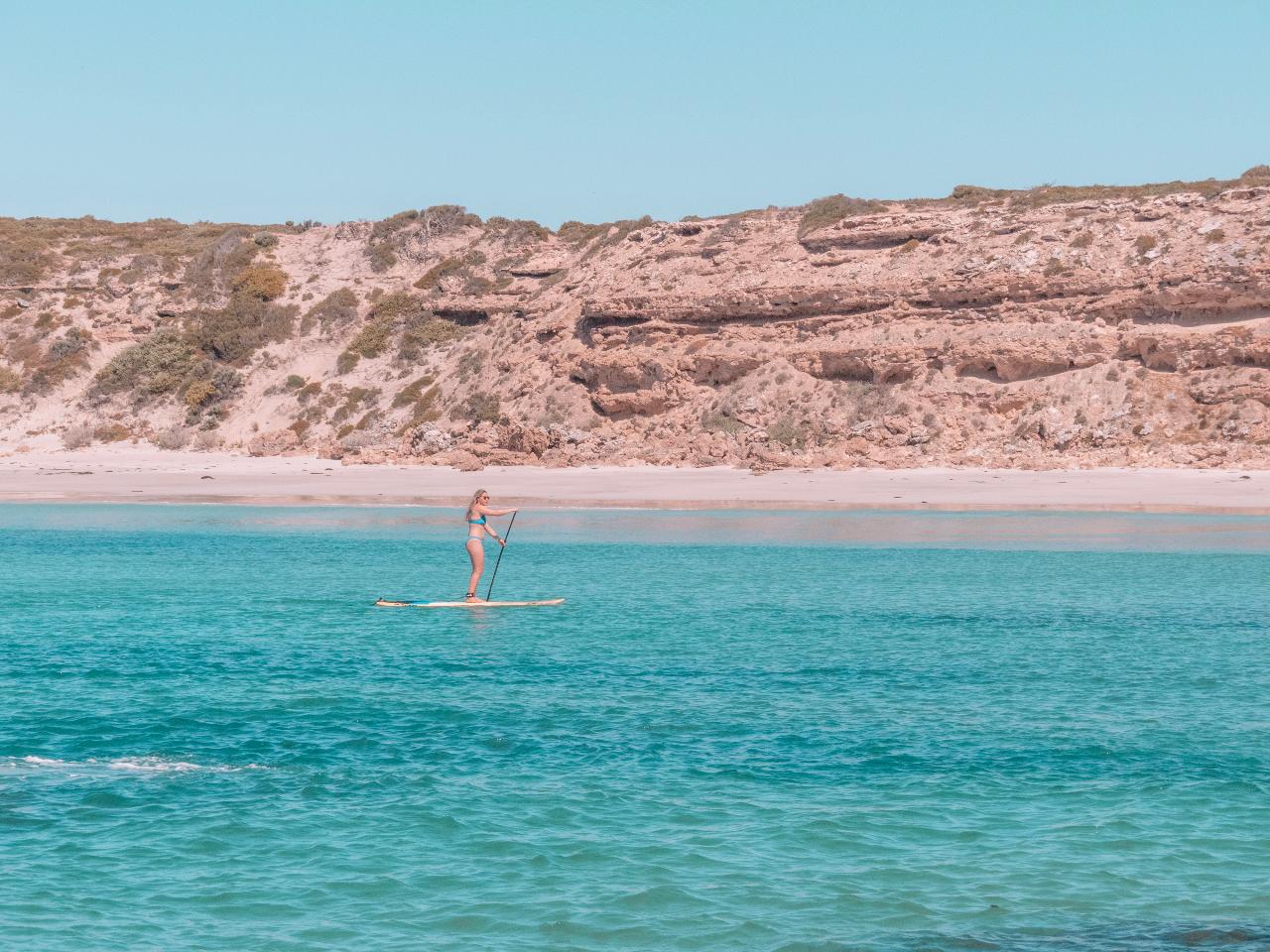 Stand-Up Paddle Board Hire (Half Day)