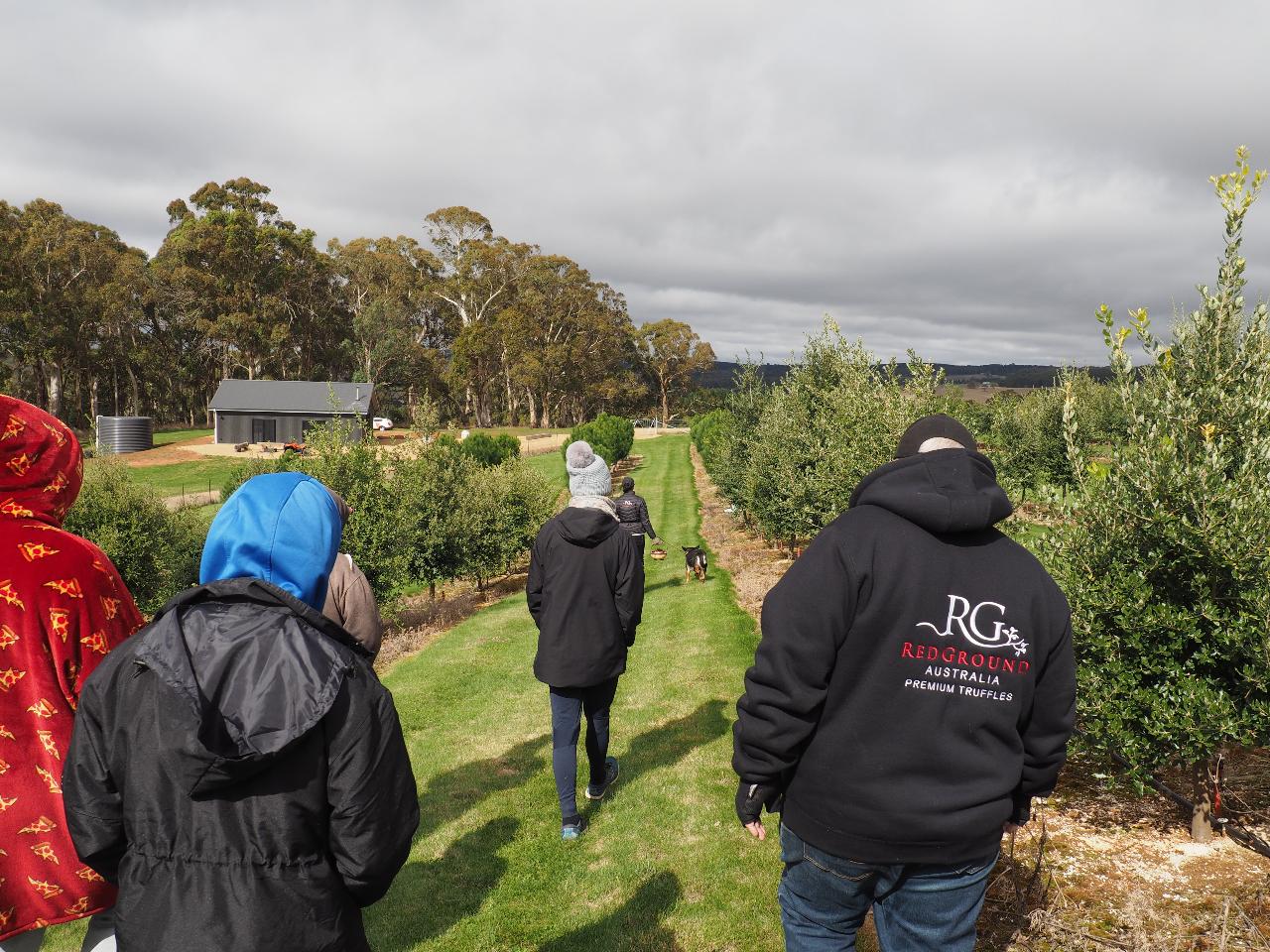 Truffle Hunt, Touch And Taste