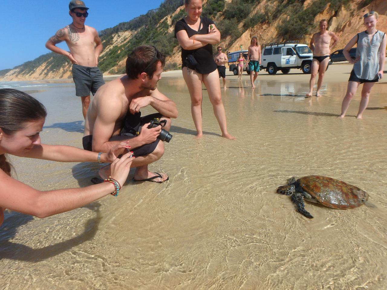 Noosa Dolphin View Sea Kayak & Beach 4X4 Adventure - Day Tour