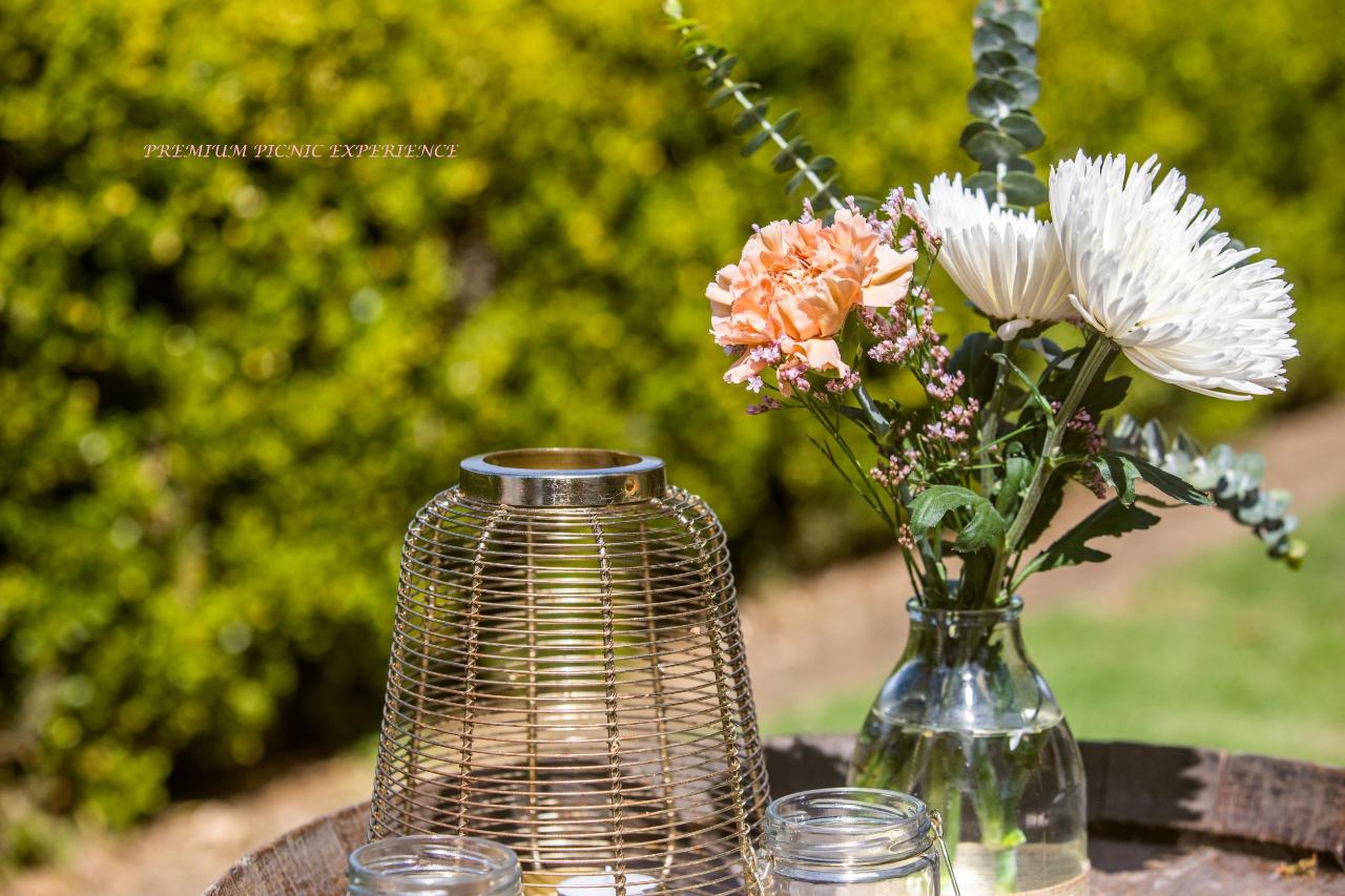 Picnic Among The Vines