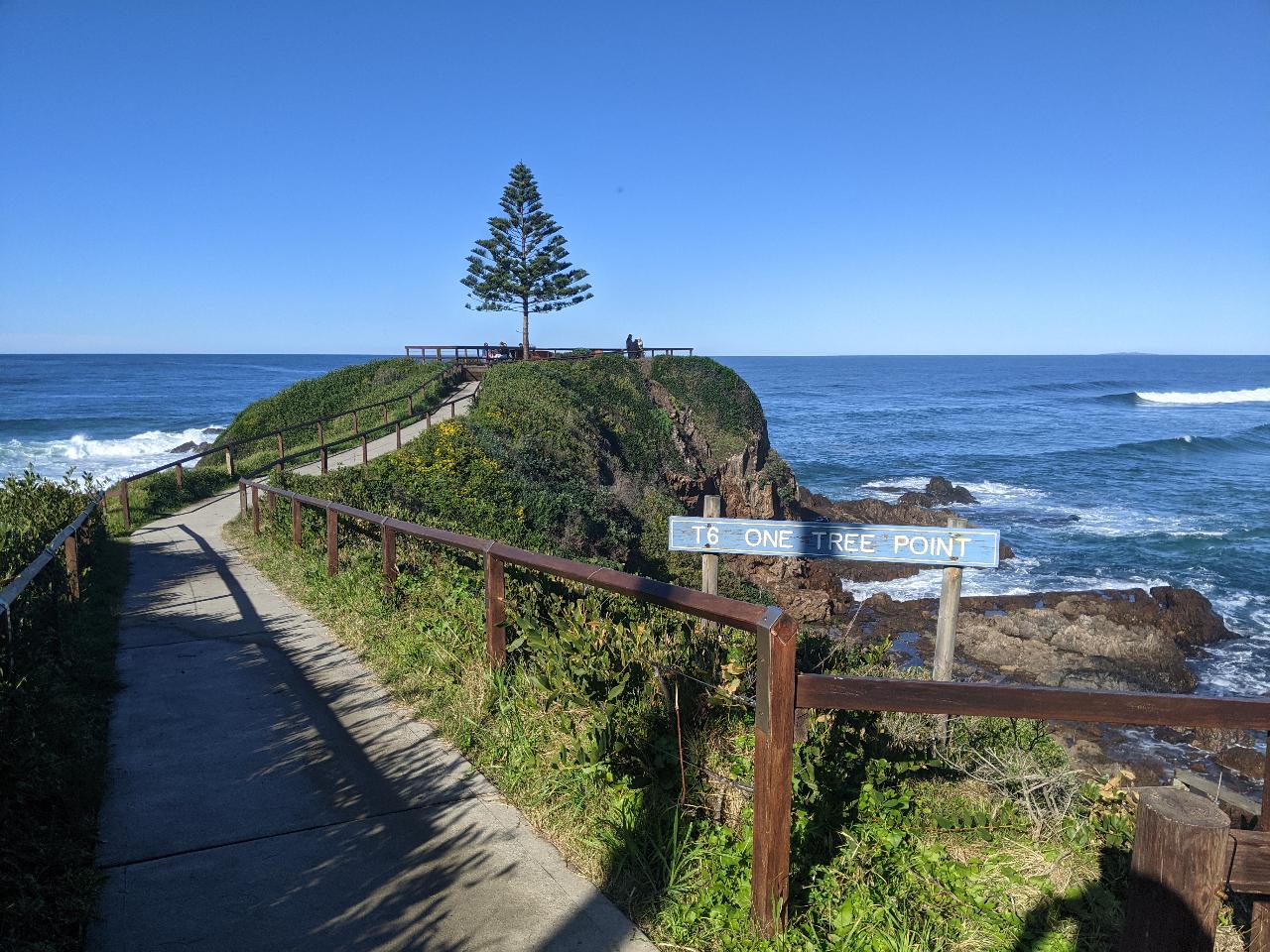 Welcome To Country - Bush Tucker & Bush Medicine Cultural Walk With Yuin Knowledge Holder