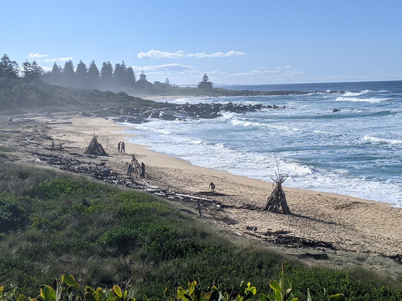 Welcome To Country - Bush Tucker & Bush Medicine Cultural Walk With Yuin Knowledge Holder