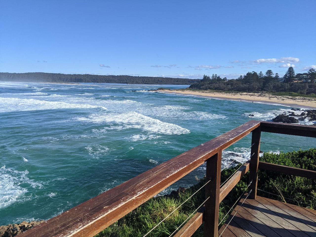 Welcome To Country - Bush Tucker & Bush Medicine Cultural Walk With Yuin Knowledge Holder