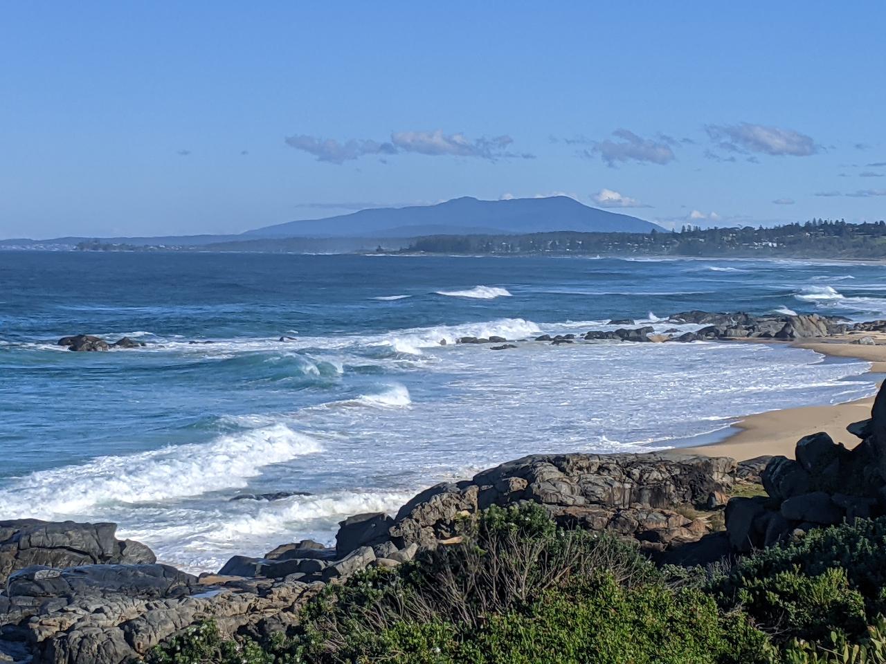 Welcome To Country - Bush Tucker & Bush Medicine Cultural Walk With Yuin Knowledge Holder
