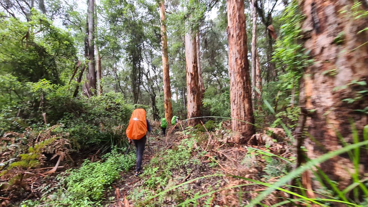 Bibbulmun Multi-Day Hike - Pemberton - Northcliffe