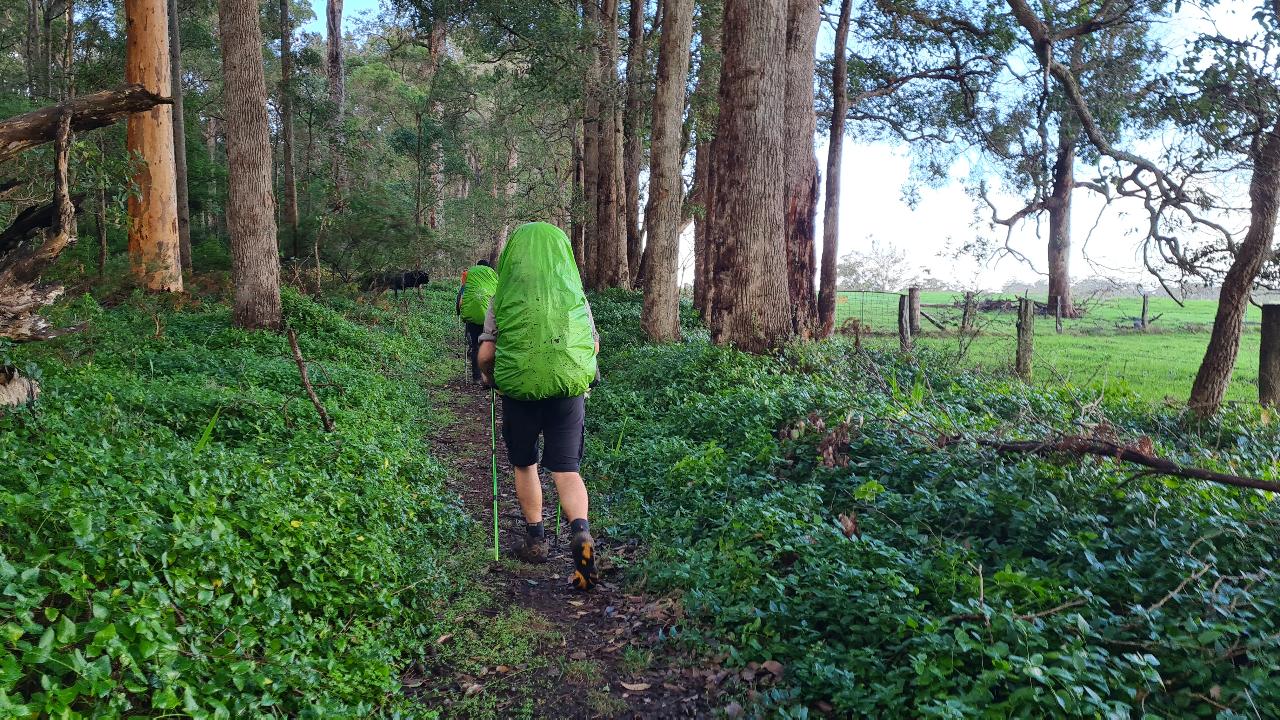 Bibbulmun Multi-Day Hike - Pemberton - Northcliffe
