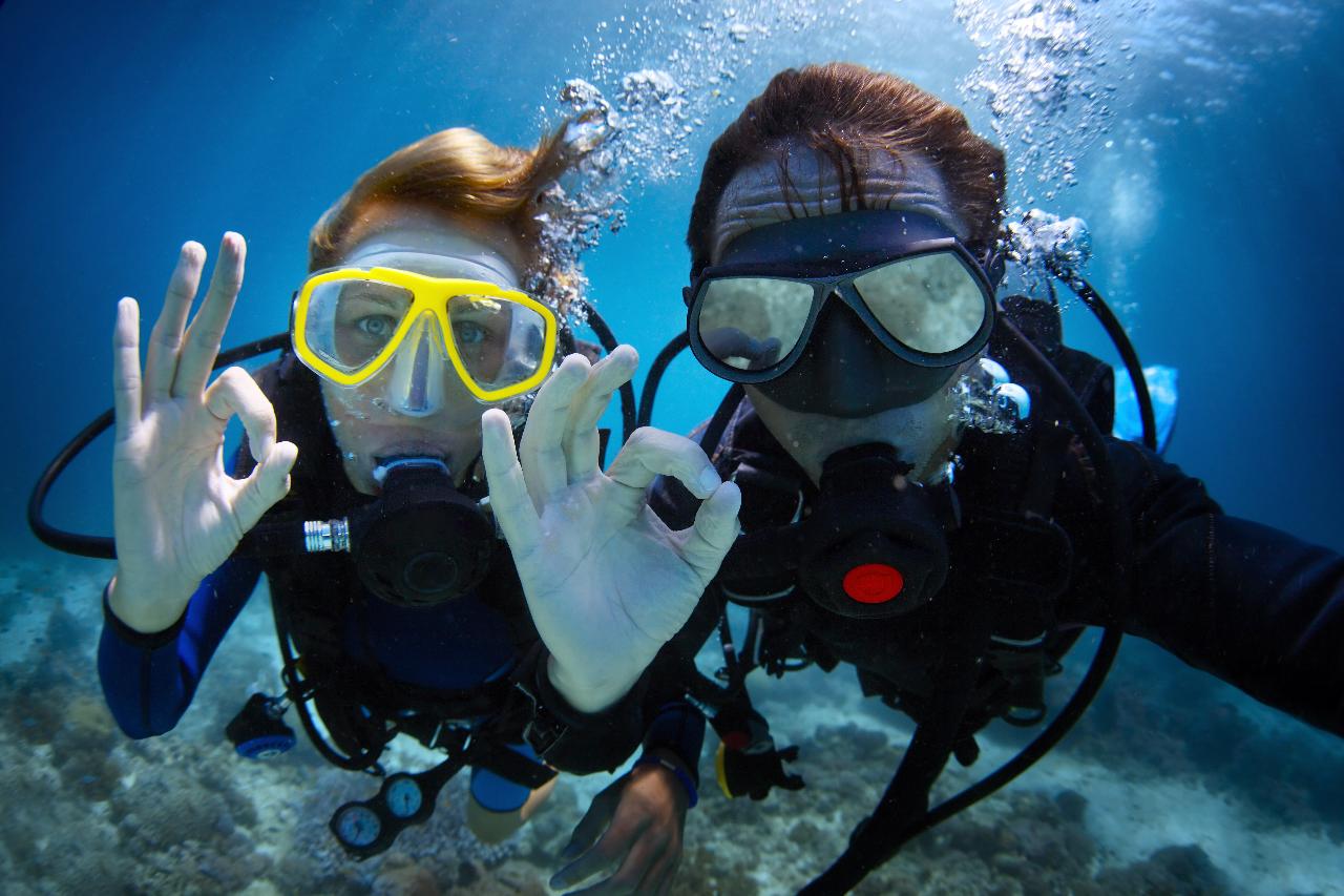 Discover Scuba Diving - One Uncertified Intro Dive And Snorkelling