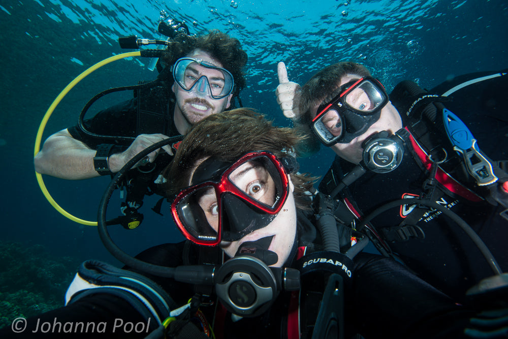 Padi Open Water Dive Course - Learn To Dive