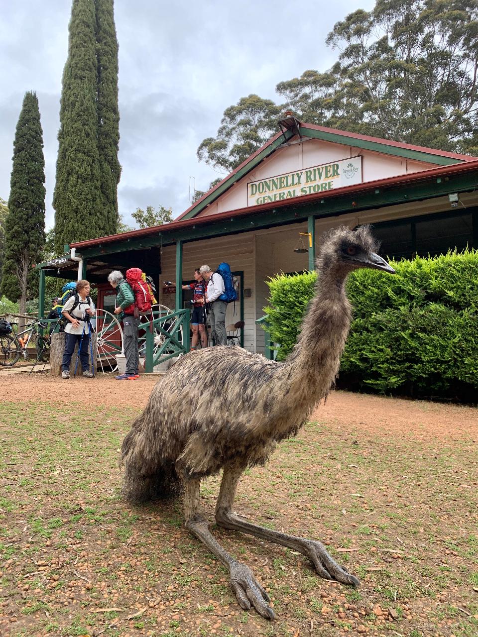 Bibbulmun Multi-Day Hike - Balingup - Donnelly River