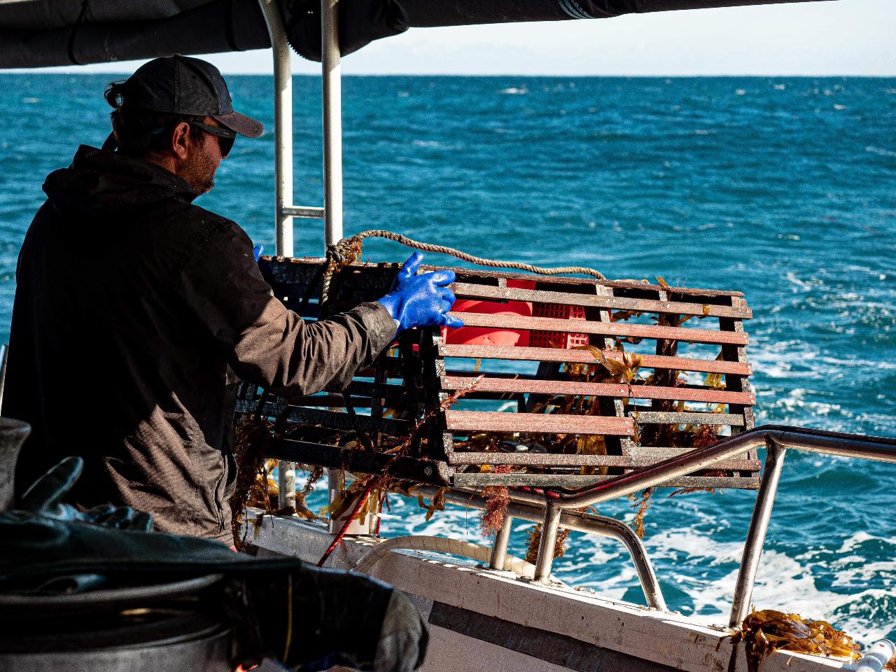 Rock Lobster Catch And Keep Boat Tour