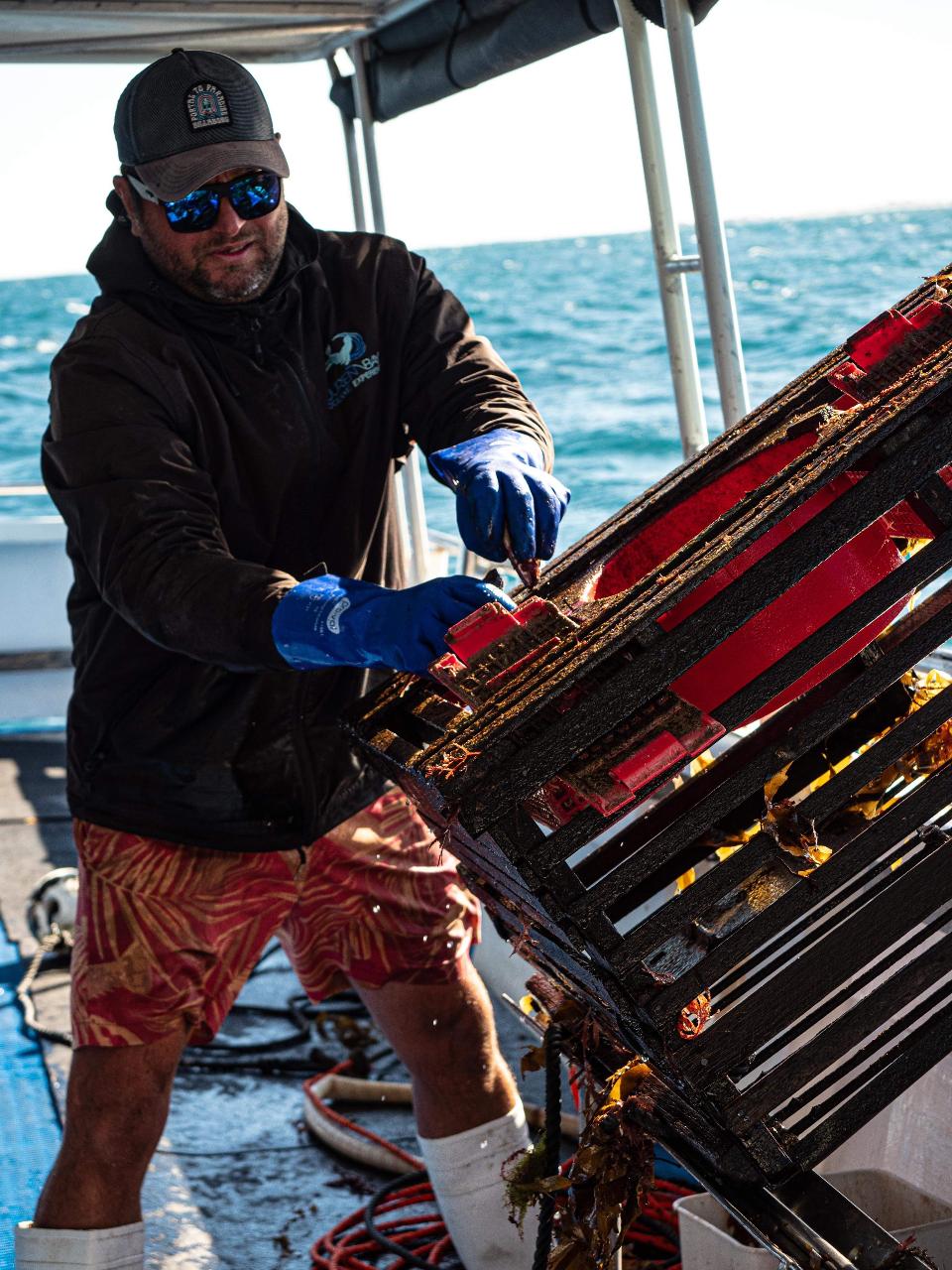 Rock Lobster Catch And Keep Boat Tour