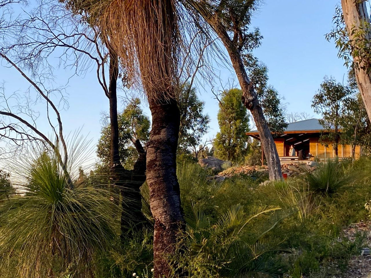 Darling Ranges Hills Bibbulmun Multi-Day Hike - Darling Range – We Wander Experiences