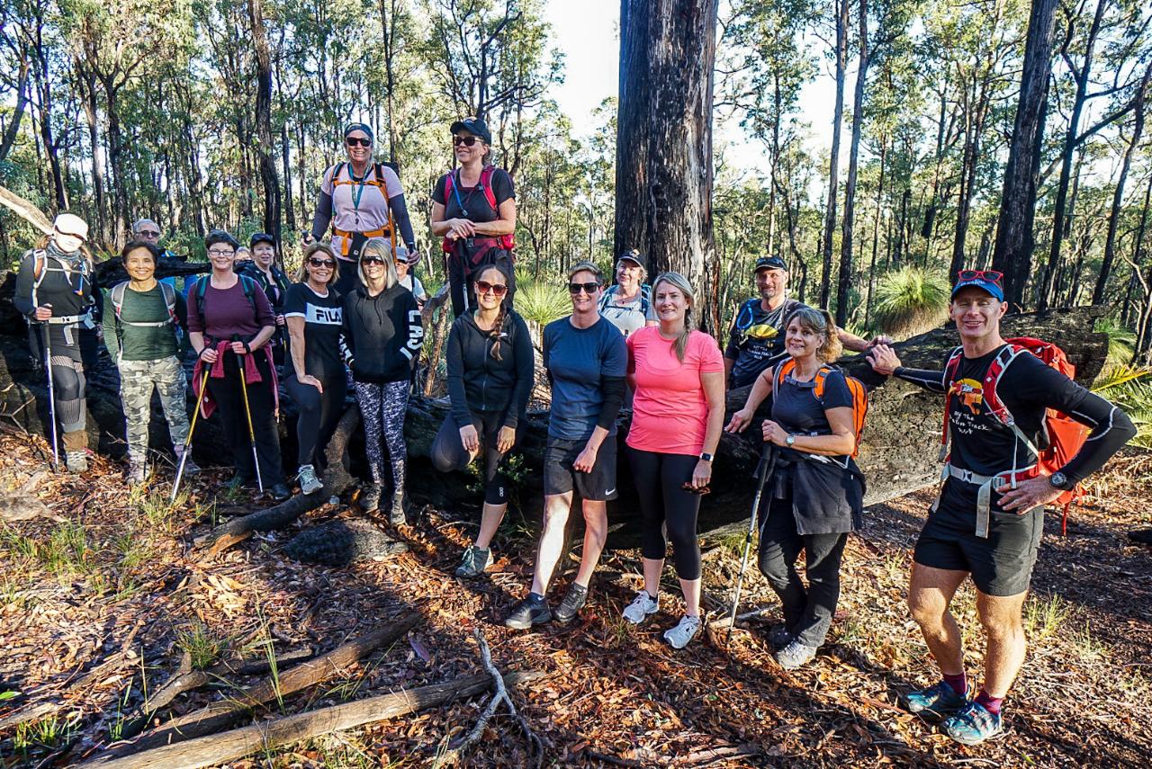 King Jarrah Hiking Experience