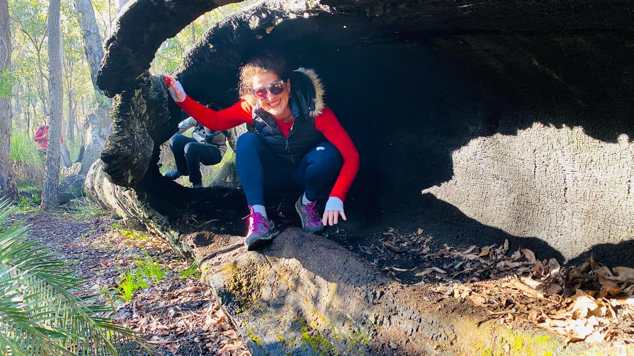 Kitty's Gorge Waterfall Hike